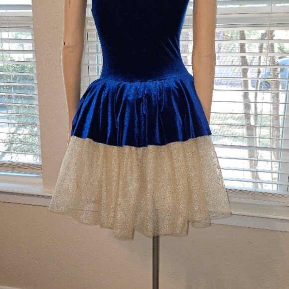 Ballet tutu blue and gold costume dance women's S/M or XL child - Picture 2 of 3